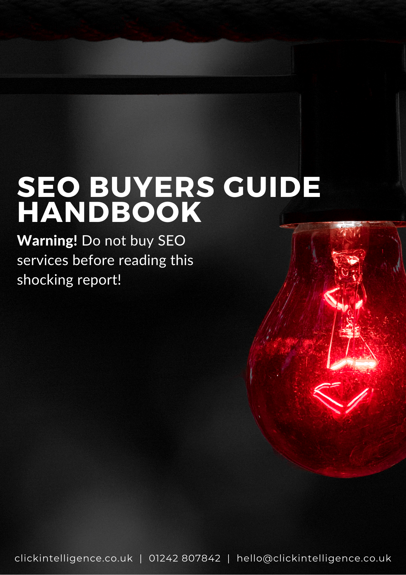 SEO buyers guide handbook (1)